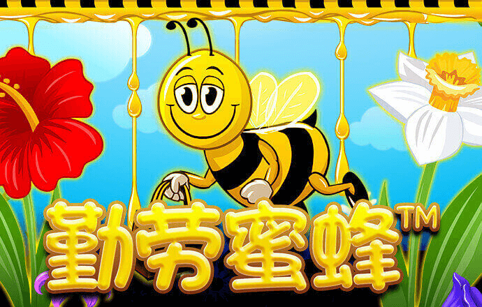 中欧体育官网下载