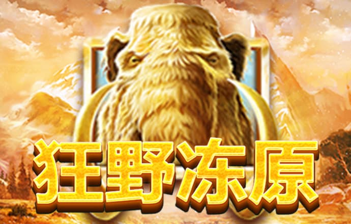 博贝老版本下载